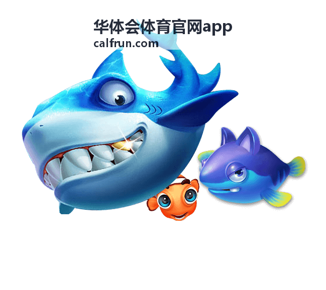 华体会体育官网app 足球赛程速览封面